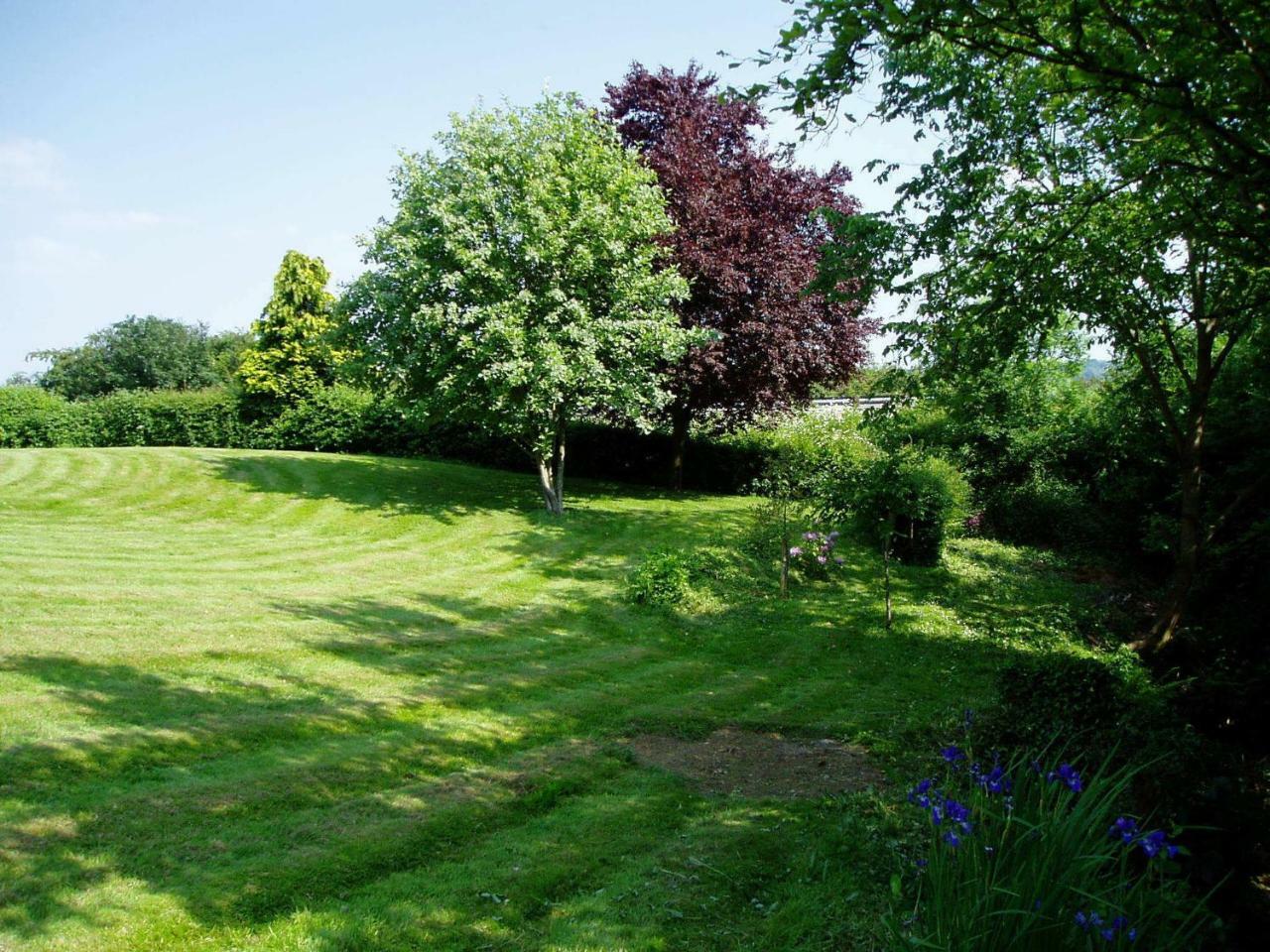 Rhydspence Guest House Hay-On-Wye Rom bilde